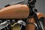 NEW Harley-Davidson DL